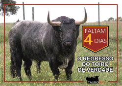 APRESENTAÇÃO TEMPORADA DA PALHA BLANCO – “O TOIRO E A ARTE”