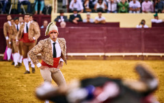 João Grave e António Vacas de Carvalho sublinham a importância de os grupos de forcados de Santarém e Montemor .
