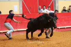 Galaria do concurso de pegas em Évora no dia 1 de Abril  2018