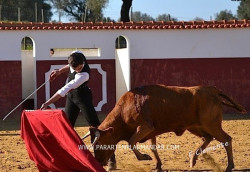Sérgio Nunes APURADO  para o  Semi-Final do Bolsim Sierra Oeste