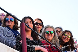 Personagens da FESTA