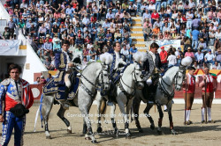 Corrida 25 de Abril  na Praça de toiros de Alter do Chão