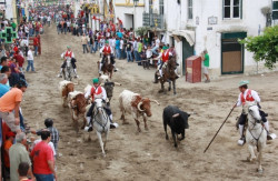 A mais castiça do Ribatejo, de 24 a 28 de maio!