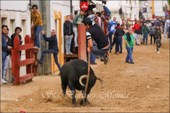 Azambuja  -  Largada de Toiros no dia 24 de Maio  2018