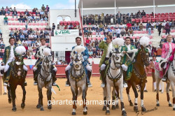 Corrida da Misericordiosas em Estremoz