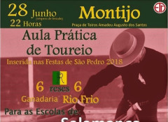  Praça de Toiros Amadeu Augusto dos Santos, Montijo.