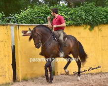 Treino de António Brito Paes