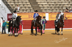 João Moura em Badajoz 