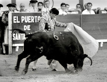 Campo Pequeno homenageia Curro Romero, génio do toureio
