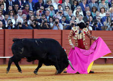 José Maria Manzanares de regresso ao Campo Pequeno
