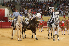 Tradicional Corrida de S.Pedro, Évora 