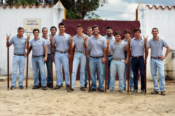 Grupo de forcados do Aposento da Chamusca na grande noite de 5 de Julho