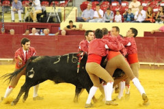 Grupo de Forcados Amadores de Cascais na 
