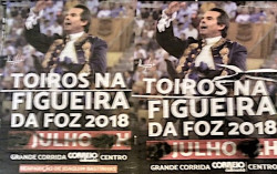 VANDALIZAÇÃO TOTAL DA PUBLICIDADE NA FIGUEIRA DA FOZ