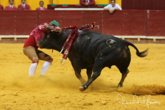AS PEGAS NO REDONDO  3 DE AGOSTO