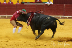 AS PEGAS NO REDONDO  3 DE AGOSTO