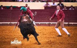 Grupo de Forcados Amadores do Montijo, quinta-feira, no Campo Pequeno