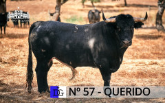 Os 