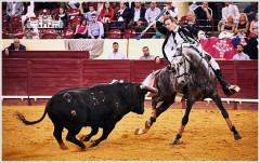 Rui Fernandes: Triunfo em Ronda antes da corrida comemorativa dos 20 anos de Alternativa, quinta-feira, no Campo Pequeno