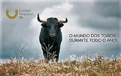 TRIUNFADORES DA TEMPORADA 2018 NO CAMPO PEQUENO