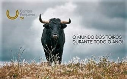 TRIUNFADORES DA TEMPORADA 2018 NO CAMPO PEQUENO