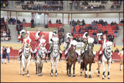 Imagens da corrida de 28  Outubro em Évora