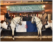 FEIRA DE SÃO MARTINHO ONDE O CAVALO É O REI !