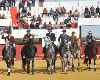 Agradável Festival na Granja