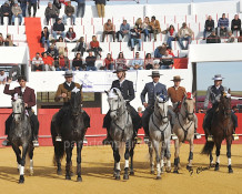 Agradável Festival na Granja