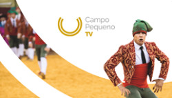 Destaque Campo Pequeno TV - Vida de Maioral com Dionísio Grilo