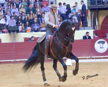 Dia da Tauromaquia - Demonstração de Equestre