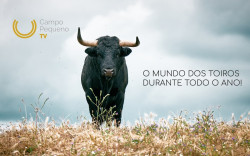 ESTREIAS EM MAIO NO CAMPO PEQUENO TV