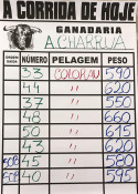 O peso dos s Charruas para hoje em Alcochete