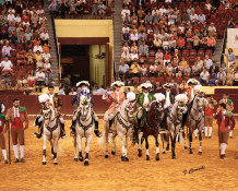  Campo pequeno ,Corrida dedicada a Região autónoma dos Açores.