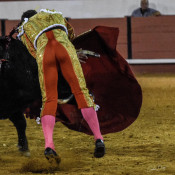 COLHIDA DE DIOGO PESEIRO EM CORUCHE