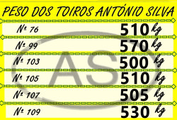 PESO DOS TOIROS DE HOJE PARA O COLISEU DE REDONDO