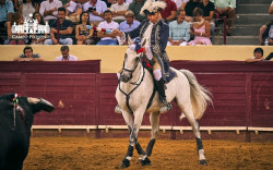 CAMPO PEQUENO - Galardão Prestígio 2019