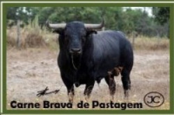  Proxima distribuição de PRODUTOS CARNE BRAVA DE PASTAGEM - 5ª E 6ª FEIRA