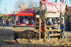 Cancelamento das Festas Tradicionais e Populares do Concelho de Alcochete