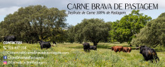 Faça a sua encomenda e desfrute da Carne Brava de Pastagem