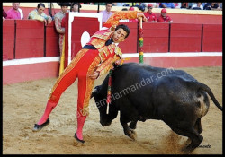 DIOGO PESEIRO, 6 TOIROS EM ESPANHA
