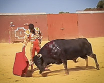DIOGO PESEIRO EM ESPANHA