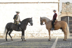 Os toiros de Branco Núncio para 5 de Setembro em Estremoz