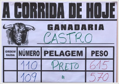 Os pesos dos Fernandes de Castro a lidar, este noite ,em Reguengos de Monsaraz