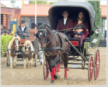 FEIRA DE SÃO MARTINHO ONDE O CAVALO É O REI !  Recordar é Viver.