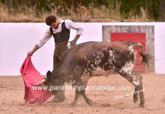 PESEIRO TENTOU TEIXEIRA