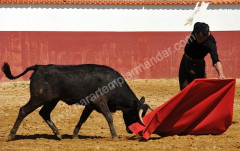 Luís Bolivar Matador de toiros colombiano, de novo apoderado por Mateo Carreño