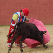 Espetáculo Cómico Taurino 