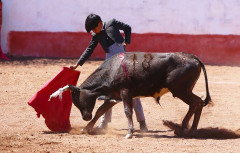 A Profundidade de Marco Peláez e o bom toureio de Roberto Benítez no 3º Festival “Quero Ser Toureiro