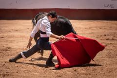 Diogo Peseiro, desde México, com Fé...